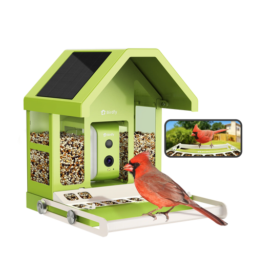 Birdfy Smart Bird Feeder with Camera, Durable Metal Feeders for Outdoors, Auto-Identify & Record Video, Instant Alert, Live Bird Watching Camera Solar, Gifts for Backyard Birder